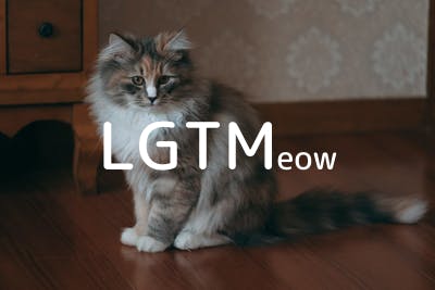 lgtm-cat-image