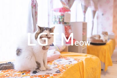 lgtm-cat-image