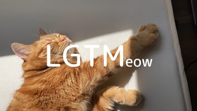 lgtm-cat-image