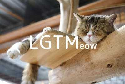 lgtm-cat-image