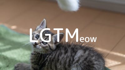 lgtm-cat-image