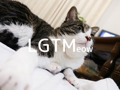 lgtm-cat-image